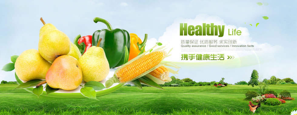 浙江整信志画容有限公司